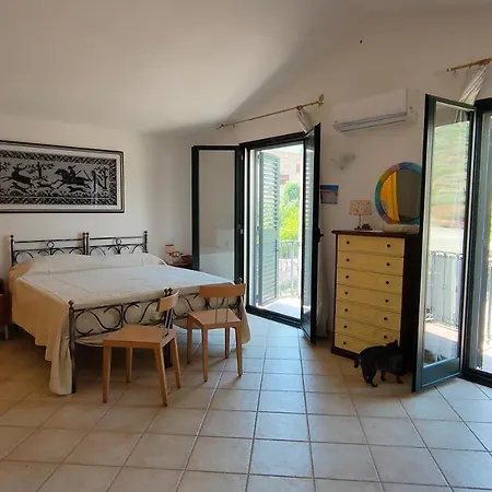 Casa Allende בוסה