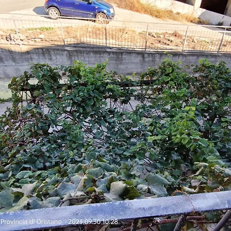 Feriehus Casa Allende *